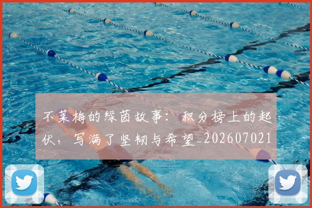 不莱梅的绿茵故事：积分榜上的起伏，写满了坚韧与希望_20260702173618