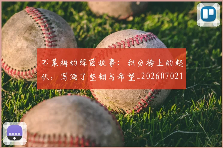 不莱梅的绿茵故事：积分榜上的起伏，写满了坚韧与希望_20260702173618
