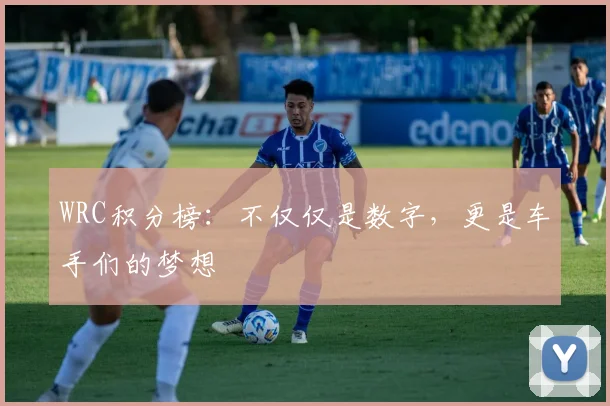 WRC积分榜:不仅仅是数字,更是车手们的梦想